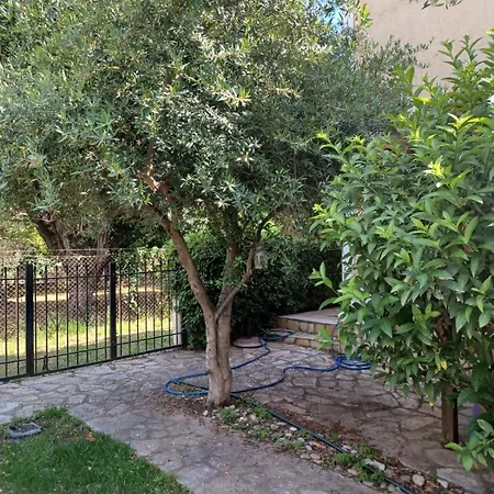 Olive, Just 50meters From The Beach 度假居