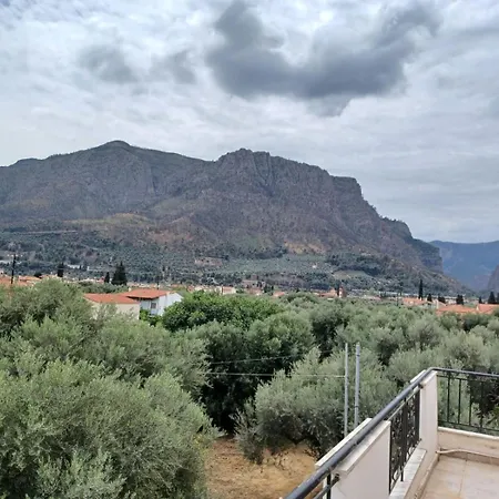 Olive, Just 50meters From The Beach *