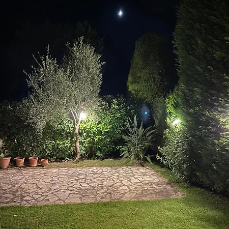 Olive, Just 50meters From The Beach *
