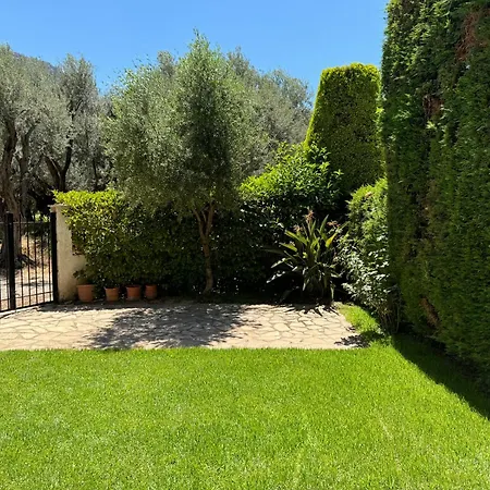 Olive, Just 50meters From The Beach