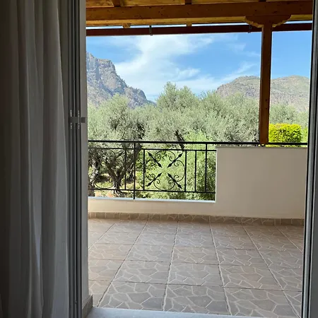Olive, Just 50meters From The Beach * Diakopto