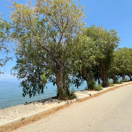 Olive, Just 50meters From The Beach Diakopto