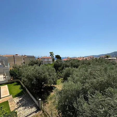 Olive, Just 50meters From The Beach *