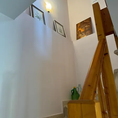 Olive, Just 50meters From The Beach