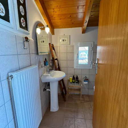 Olive, Just 50meters From The Beach