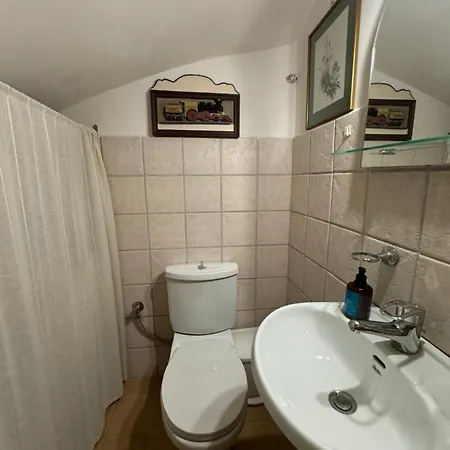 Olive, Just 50meters From The Beach
