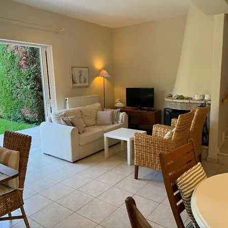 Olive, Just 50meters From The Beach