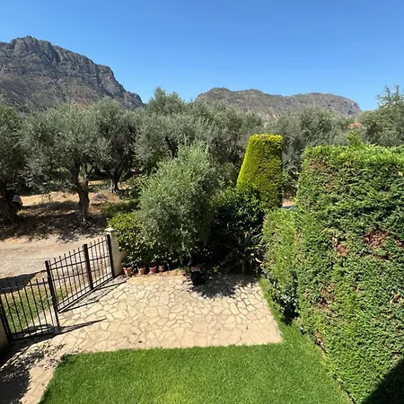 Olive, Just 50meters From The Beach