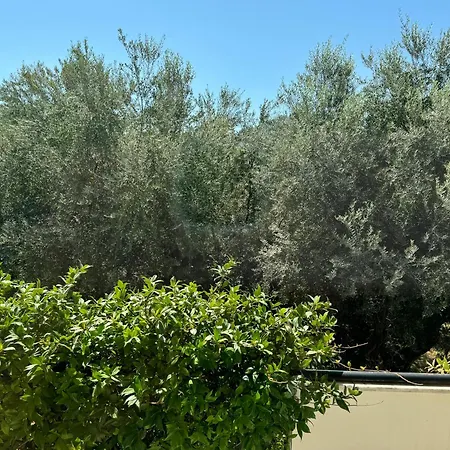 Olive, Just 50meters From The Beach * 季亚科普通
